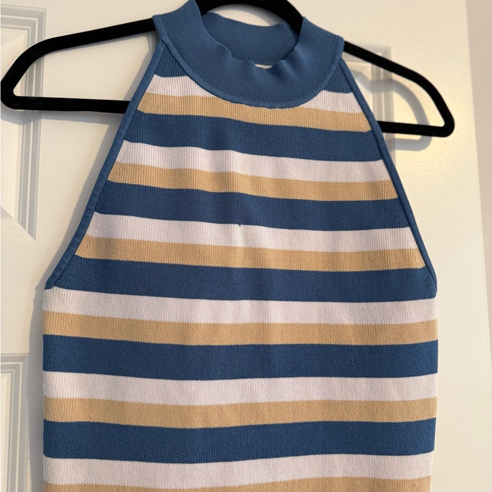 Aritzia Blue and Tan Striped Crop Top